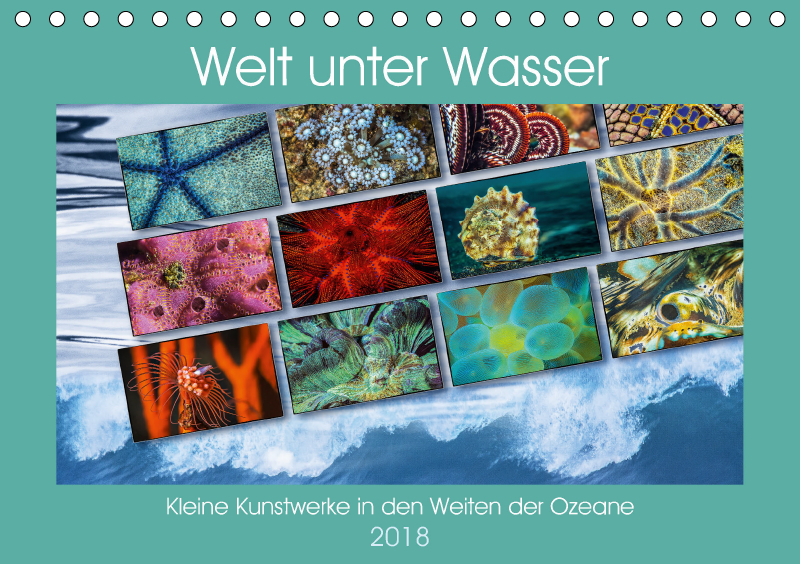 Kleine Kunstwerke in den Weiten der Ozeane (Tischkalender 2018 DIN A5 quer)