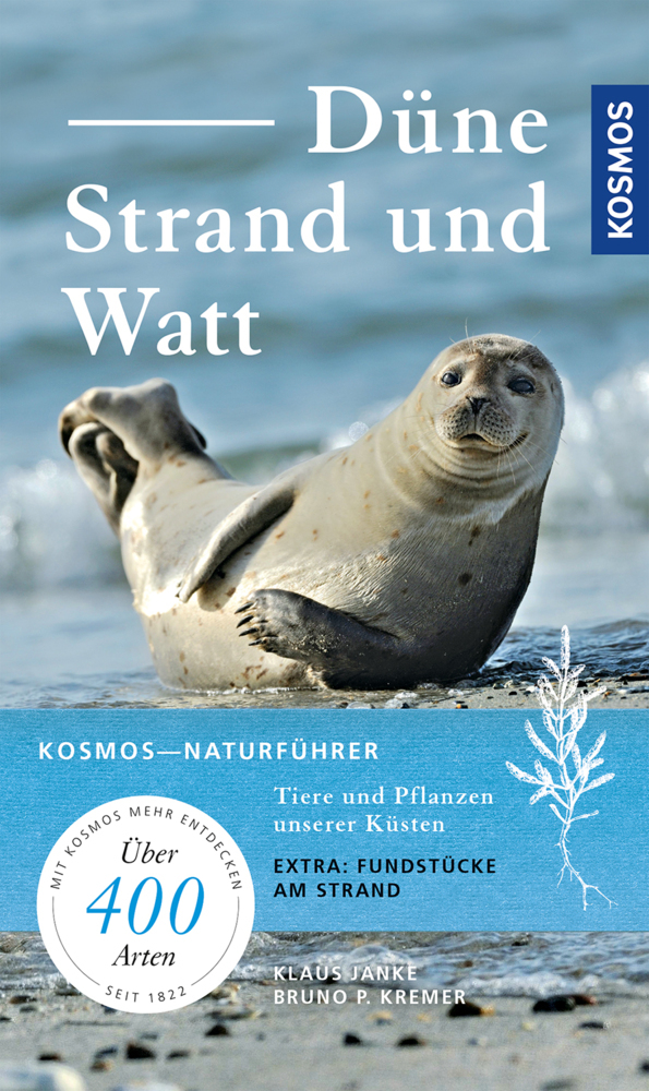 Düne, Strand und Watt