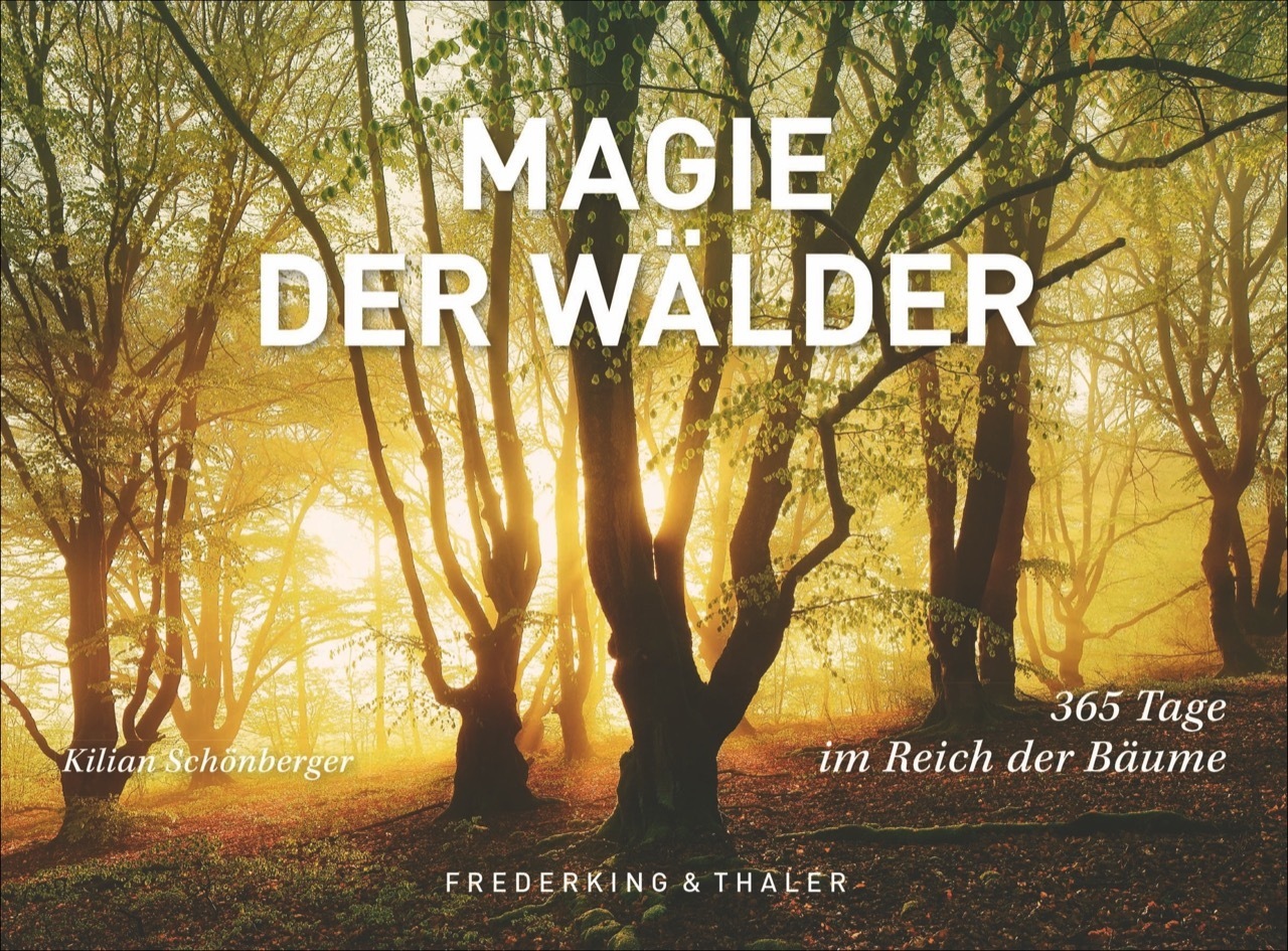 Magie der Wälder, Tischaufsteller
