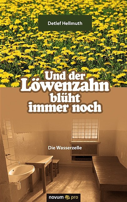 Und der Löwenzahn blüht immer noch
