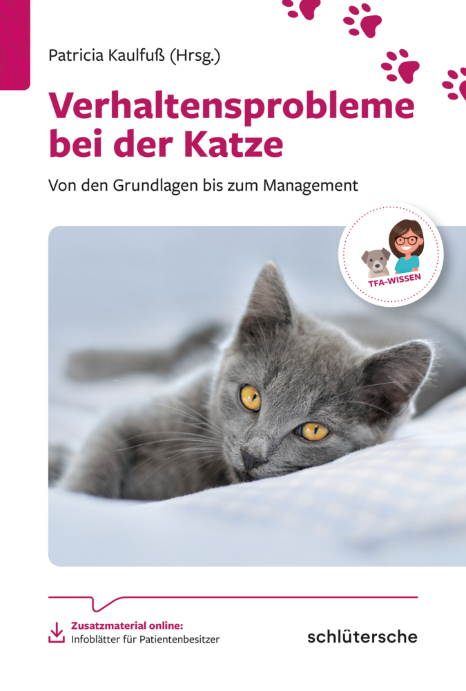 Verhaltensprobleme bei der Katze