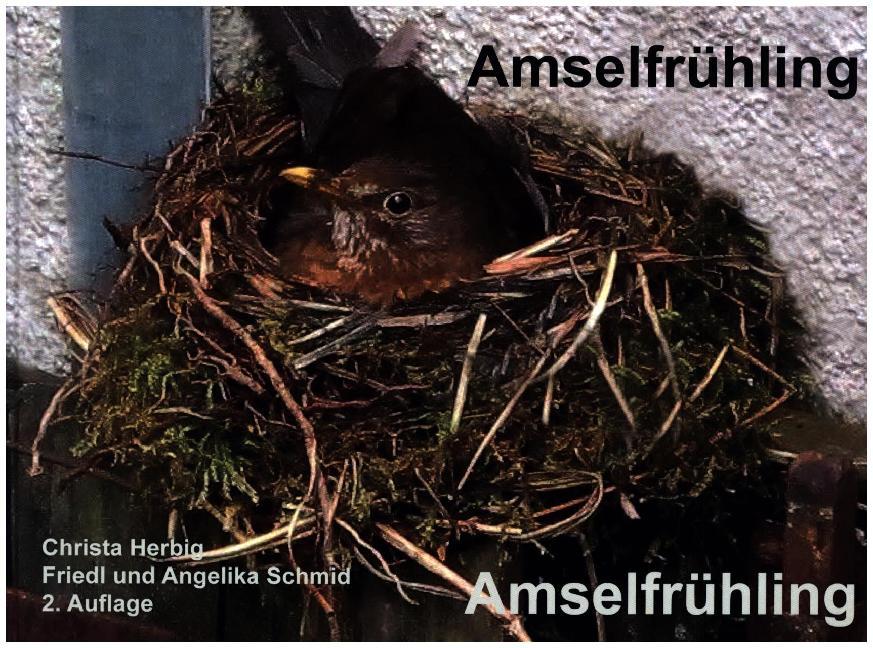 Amselfrühling