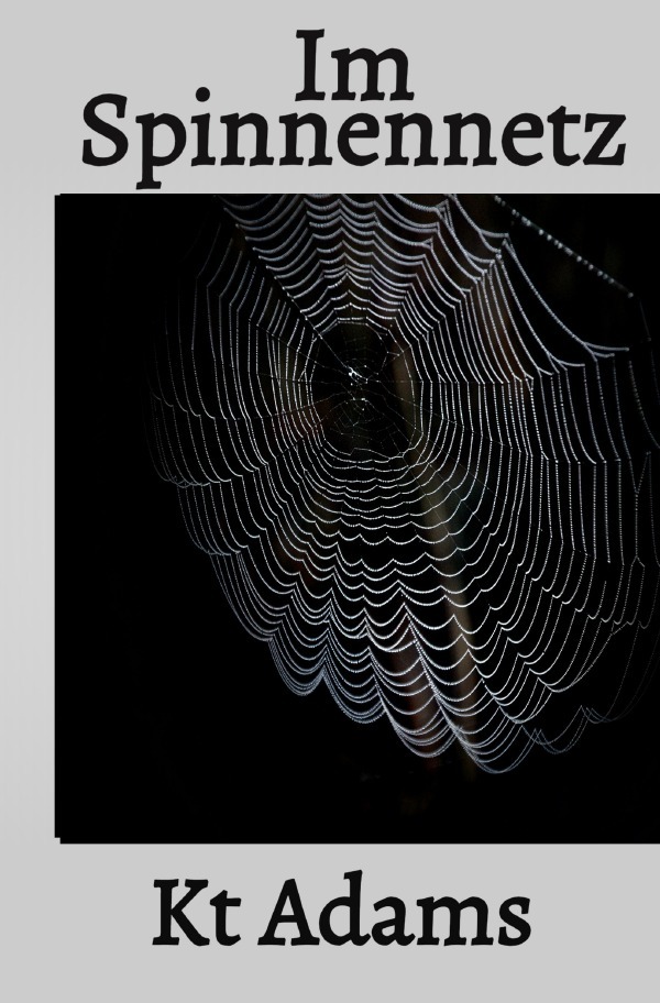 Im Spinnennetz