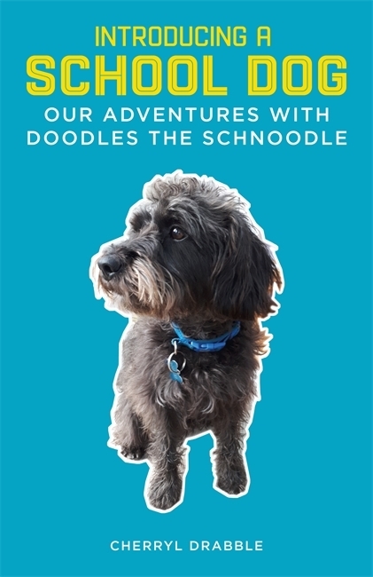Introducing a School Therapy Dog