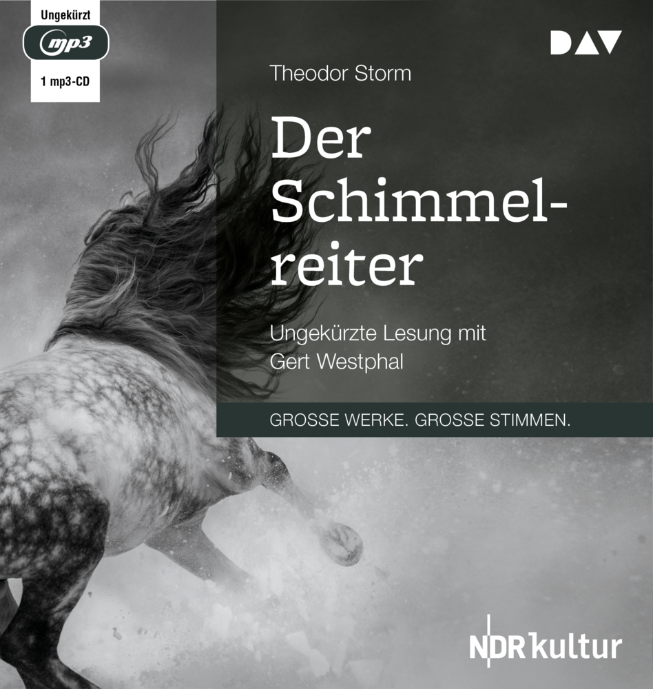 Der Schimmelreiter, 1 Audio-CD, 1 MP3