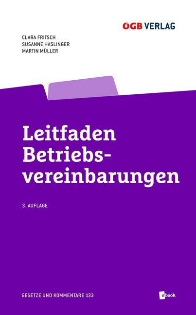 Leitfaden Betriebsvereinbarungen