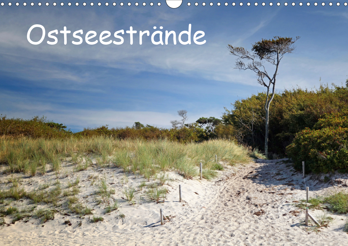 Ostseestrände (Wandkalender 2021 DIN A3 quer)