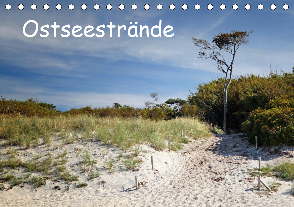 Ostseestrände (Tischkalender 2021 DIN A5 quer)