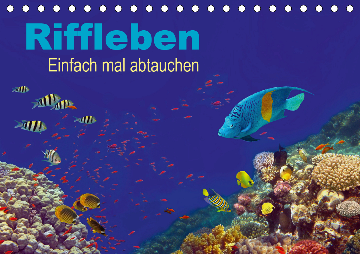 Riffleben - Einfach mal abtauchen (Tischkalender 2021 DIN A5 quer)