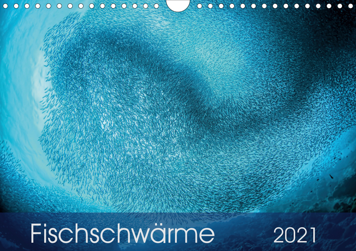 Fischschwärme (Wandkalender 2021 DIN A4 quer)