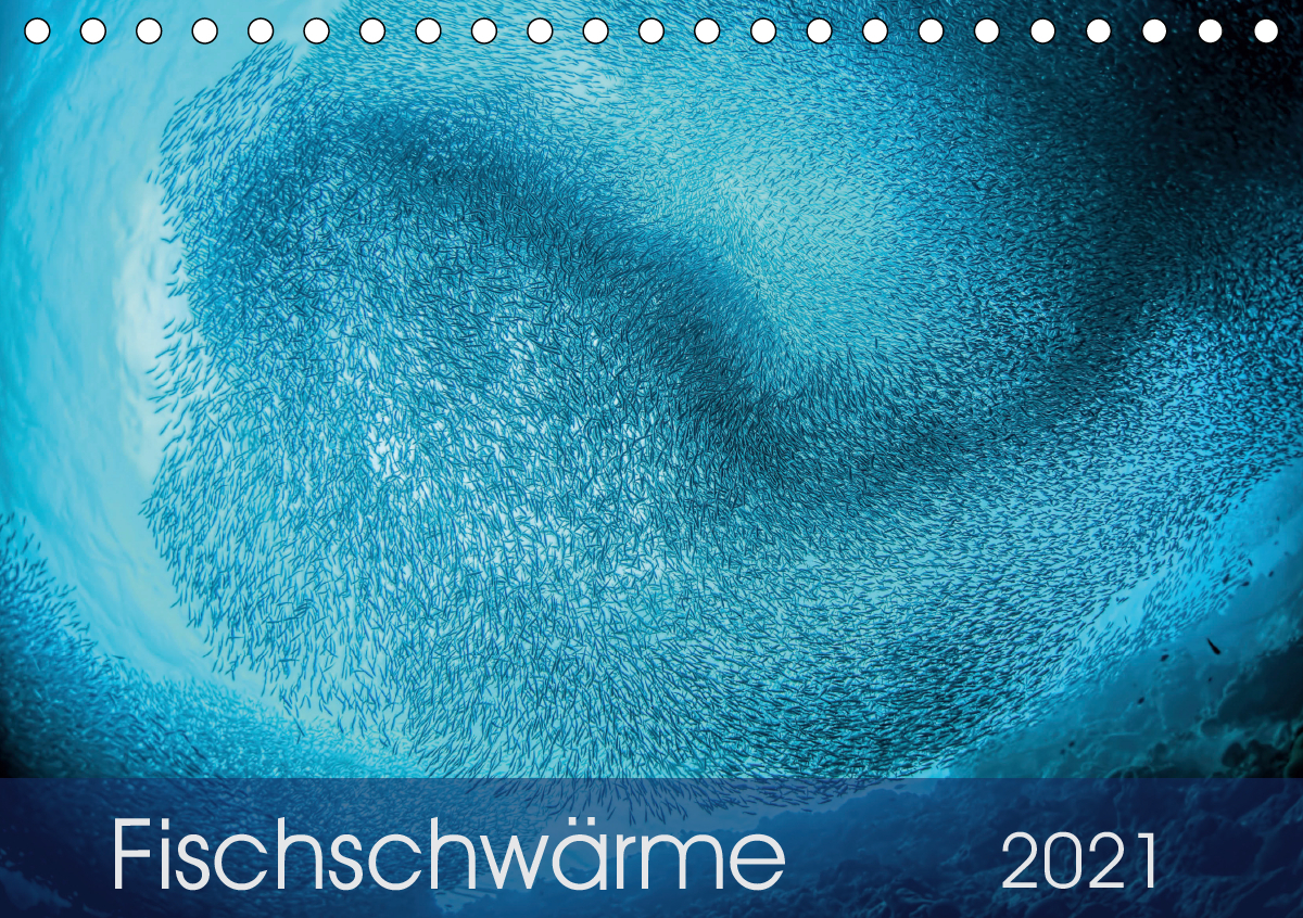 Fischschwärme (Tischkalender 2021 DIN A5 quer)