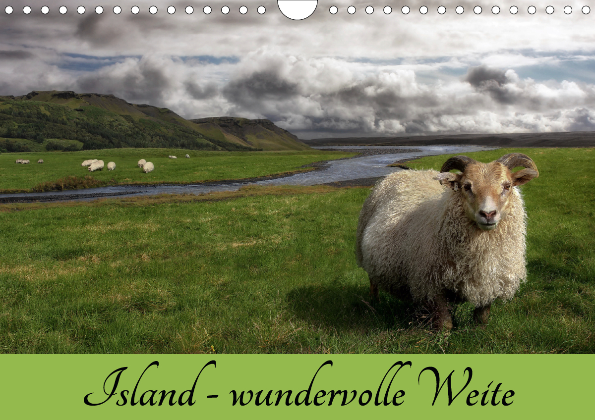 Island - wundervolle Weite (Wandkalender 2021 DIN A4 quer)