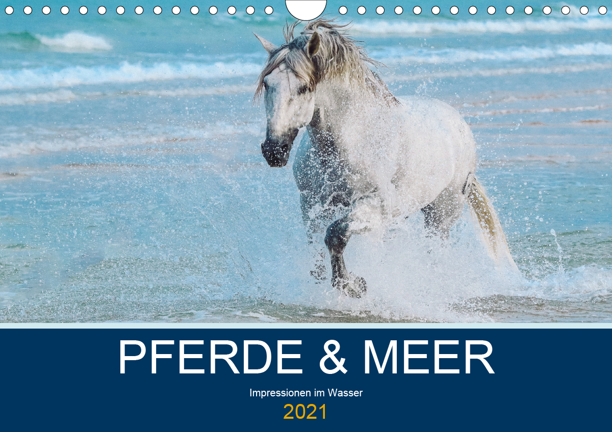PFERDE & MEER (Wandkalender 2021 DIN A4 quer)