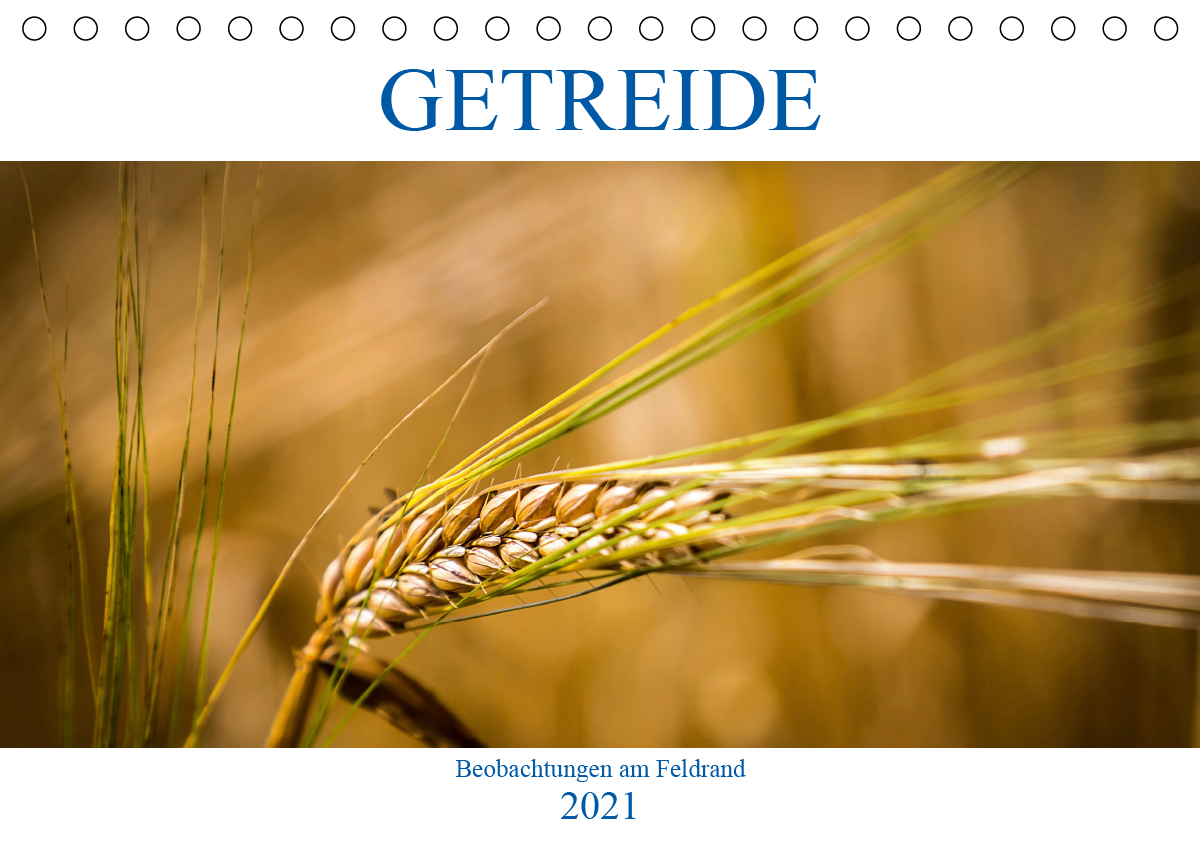 Getreide - Beobachtungen am Feldrand (Tischkalender 2021 DIN A5 quer)