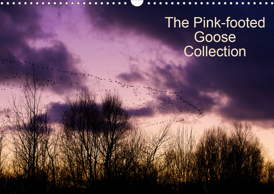 The Pinkfoot Goose Collection (Wall Calendar 2021 DIN A3 Landscape)
