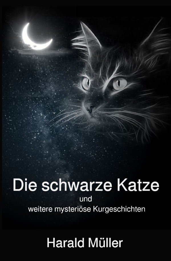 Die schwarze Katze und weitere mysteriöse Kurzgeschichten