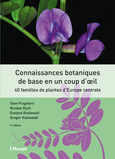 Connaissances botaniques de base en un coup d'oeil