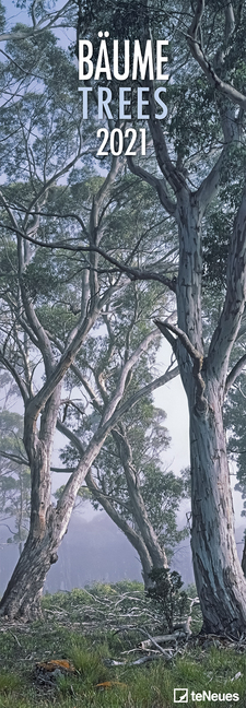 Bäume / Trees 2021
