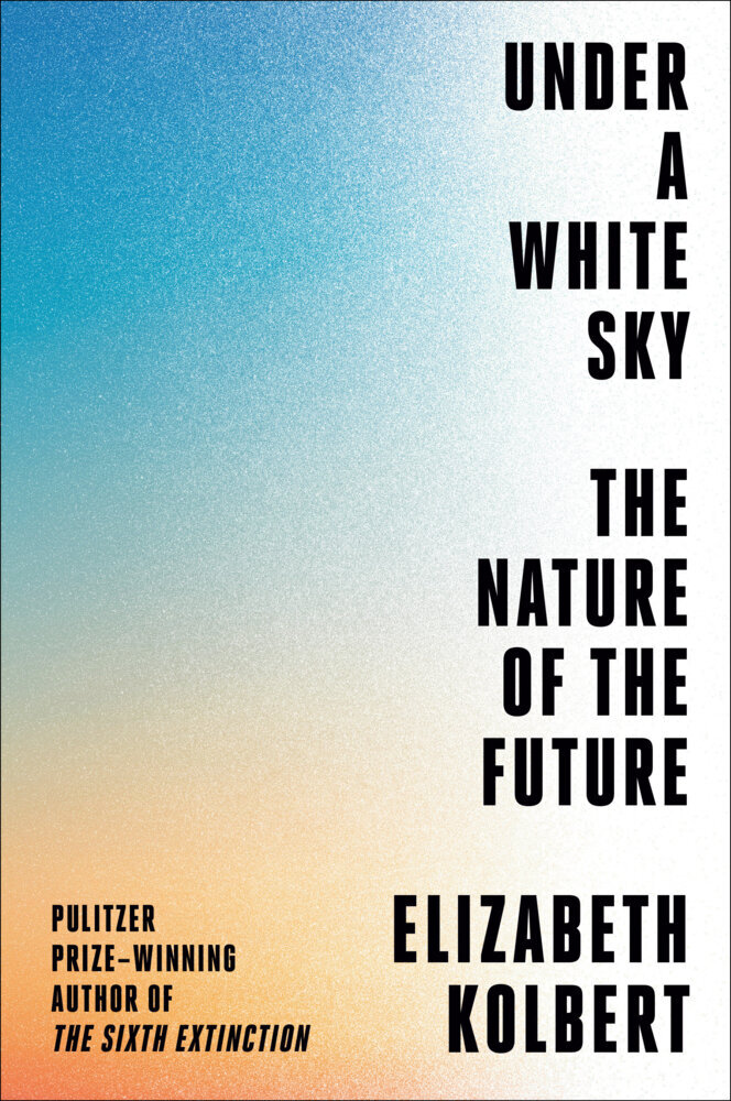 Under a White Sky