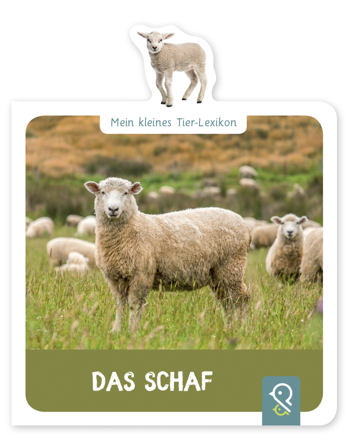 Das Schaf