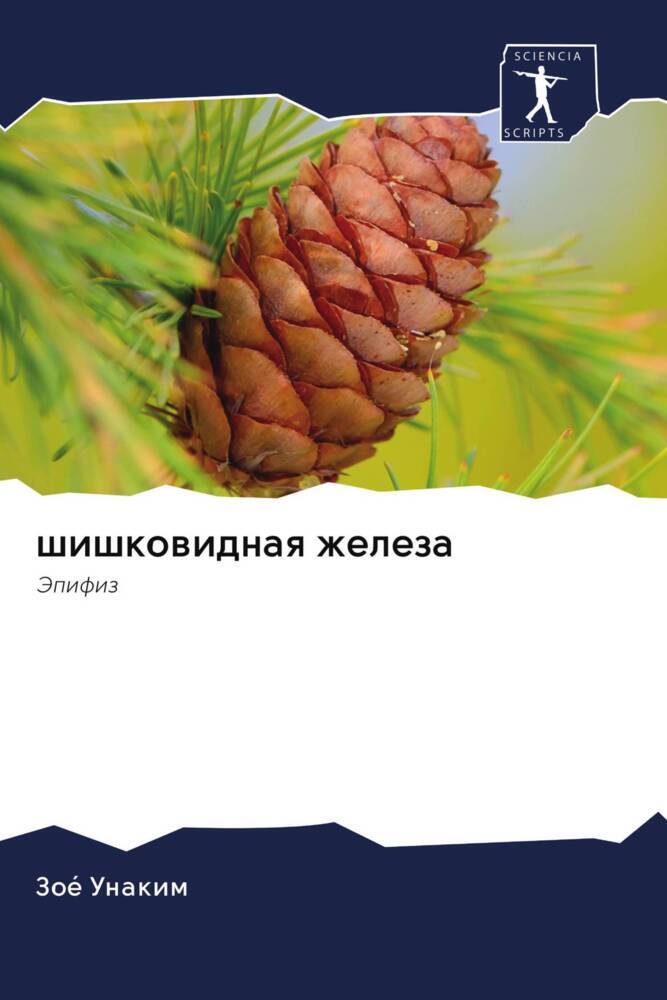 shishkowidnaq zheleza
