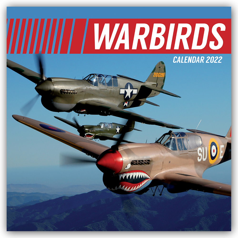 Warbirds - Kampfflugzeuge 2022