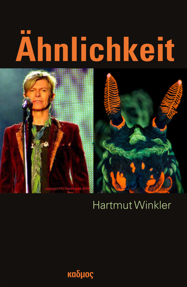 Ähnlichkeit