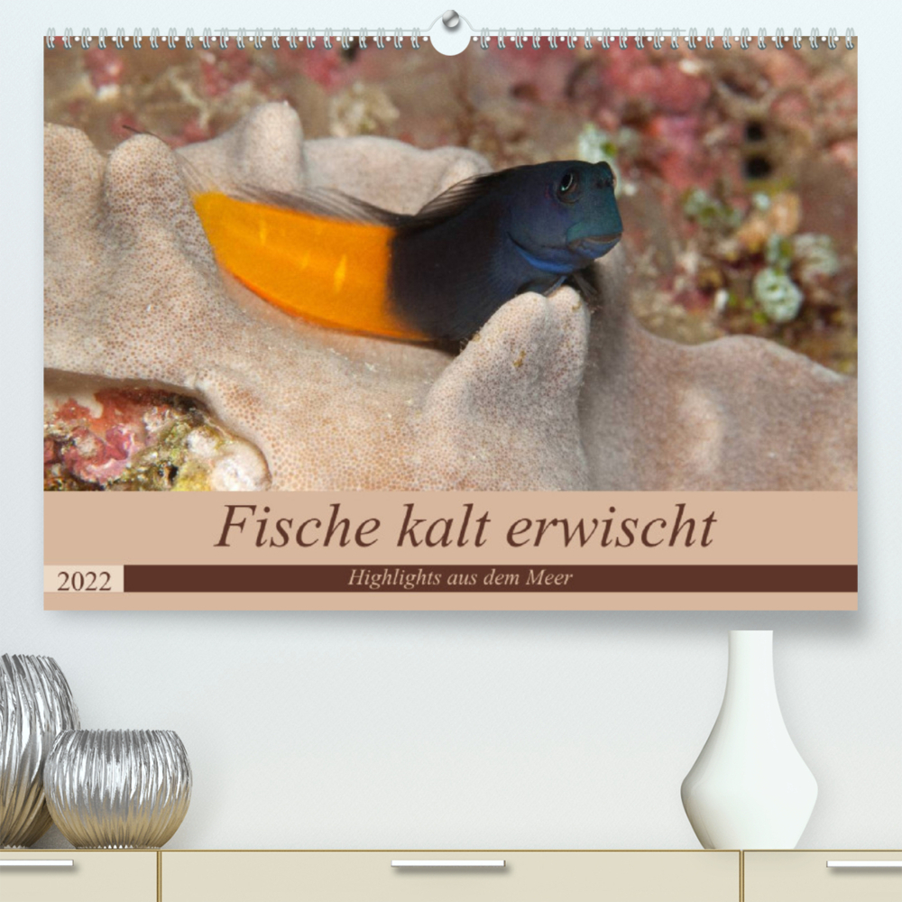 Sven Gruse taucht ab! Fische kalt erwischt (Premium, hochwertiger DIN A2 Wandkalender 2022, Kunstdruck in Hochglanz)