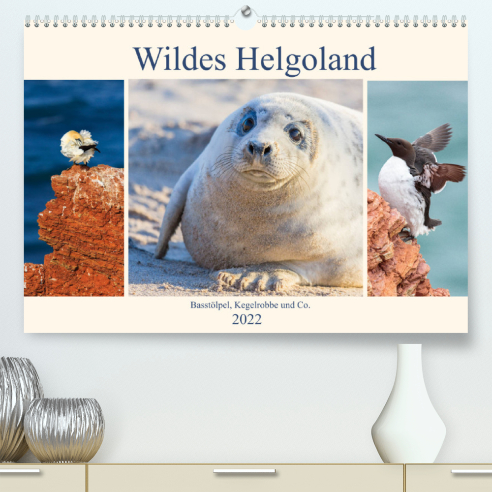 Wildes Helgoland - Basstölpel, Kegelrobbe und Co. 2022 (Premium, hochwertiger DIN A2 Wandkalender 2022, Kunstdruck in Hochglanz)