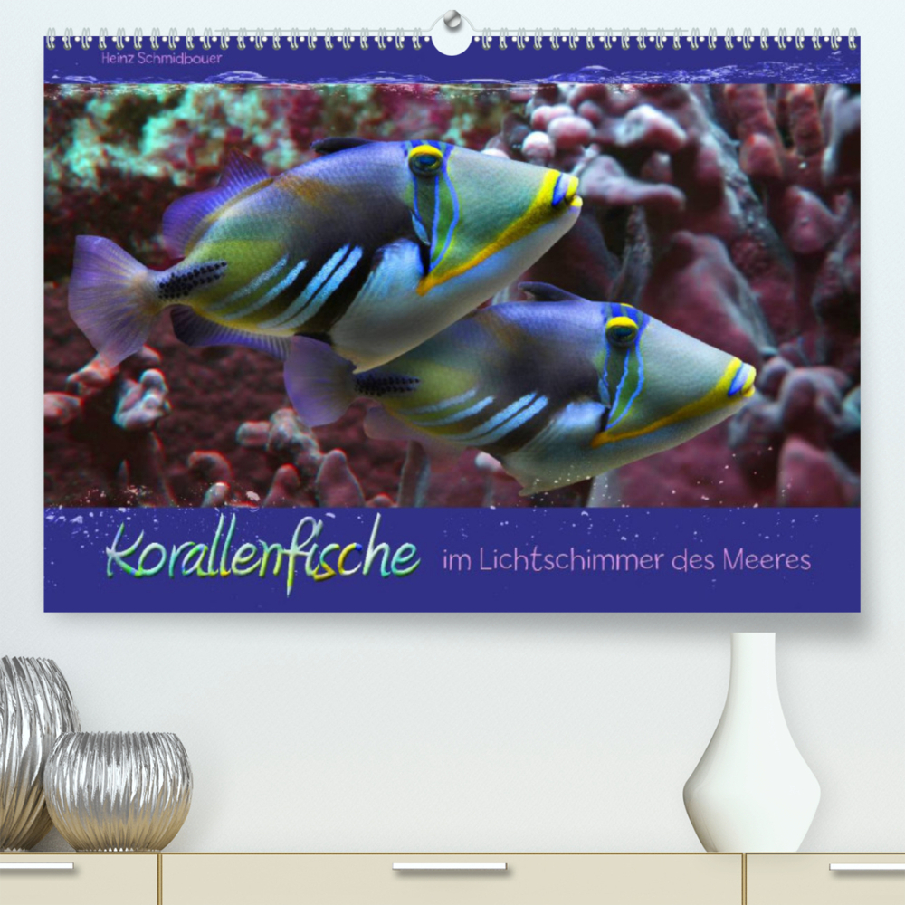 Korallenfische im Lichtschimmer des Meeres (Premium, hochwertiger DIN A2 Wandkalender 2022, Kunstdruck in Hochglanz)