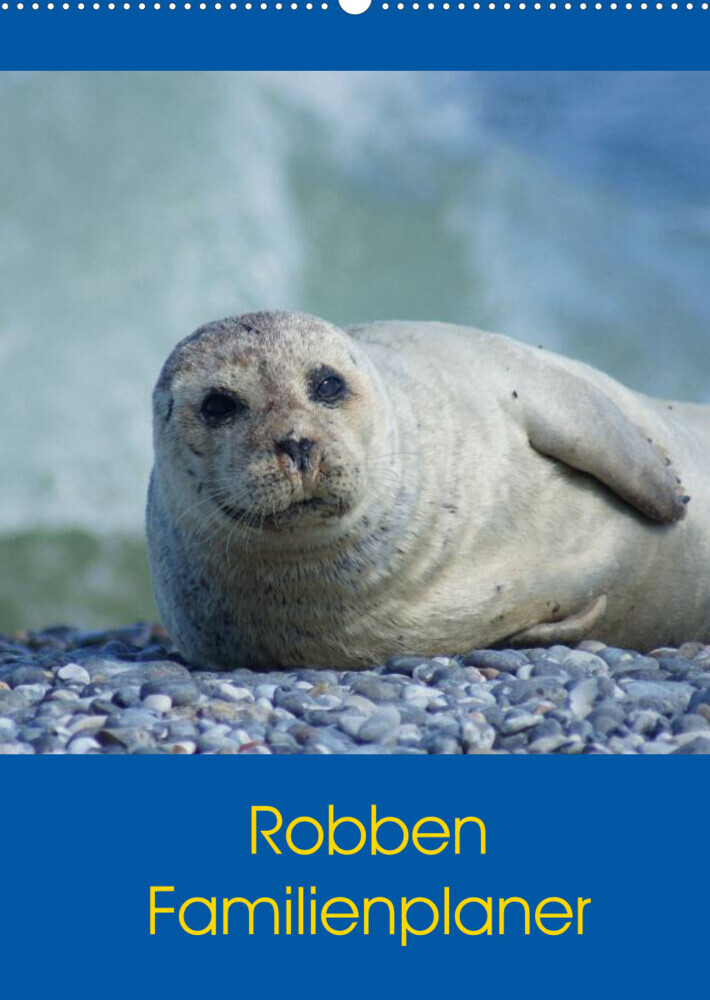 Robben Familienplaner (Wandkalender 2022 DIN A2 hoch)