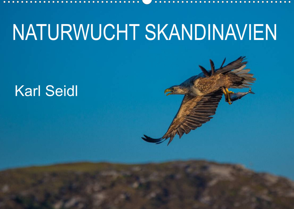 Naturwucht Skandinavien (Wandkalender 2022 DIN A2 quer)