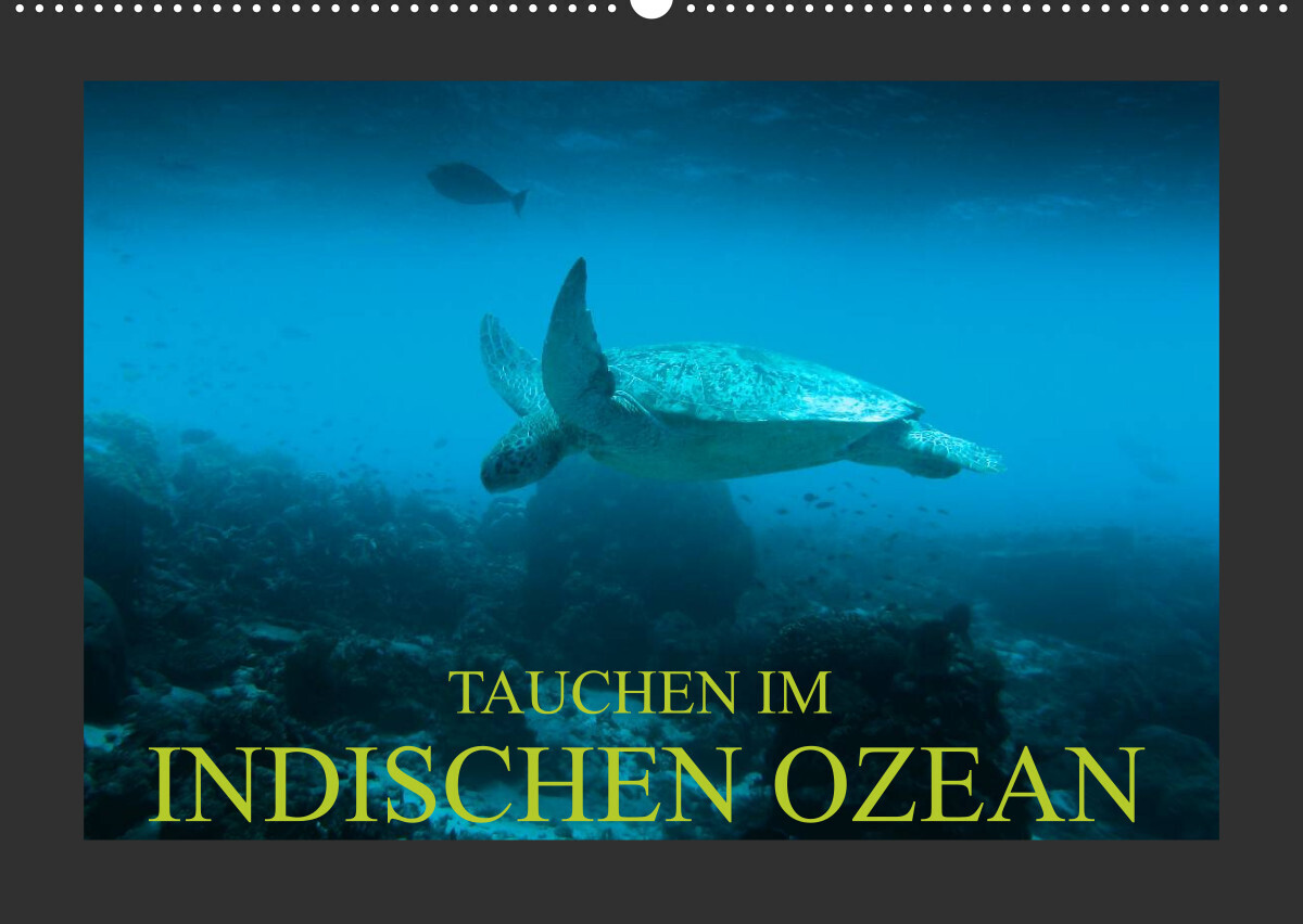 Tauchen im Indischen Ozean (Wandkalender 2022 DIN A2 quer)