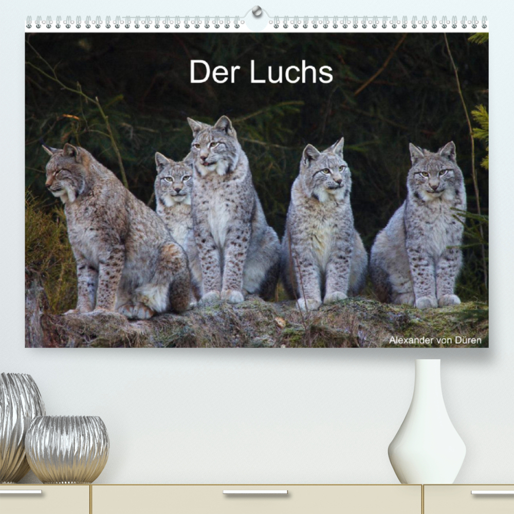 Der Luchs (Premium, hochwertiger DIN A2 Wandkalender 2022, Kunstdruck in Hochglanz)