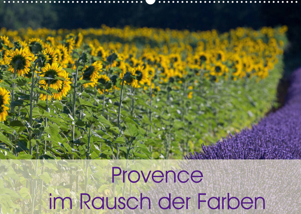 Provence im Rausch der Farben (Wandkalender 2022 DIN A2 quer)