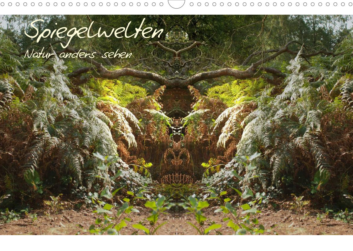 Spiegelwelten - Natur anders sehen (Wandkalender 2022 DIN A3 quer)