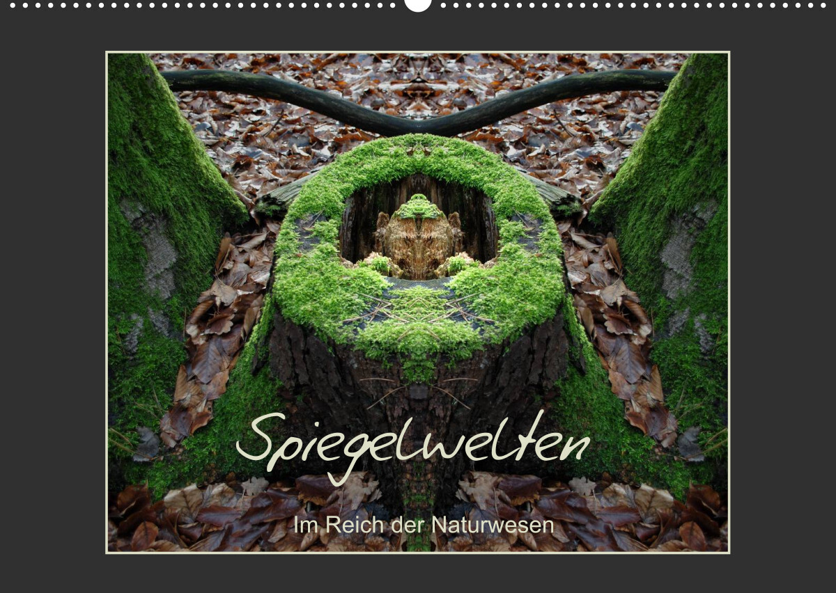 Spiegelwelten - Im Reich der Naturwesen (Wandkalender 2022 DIN A2 quer)