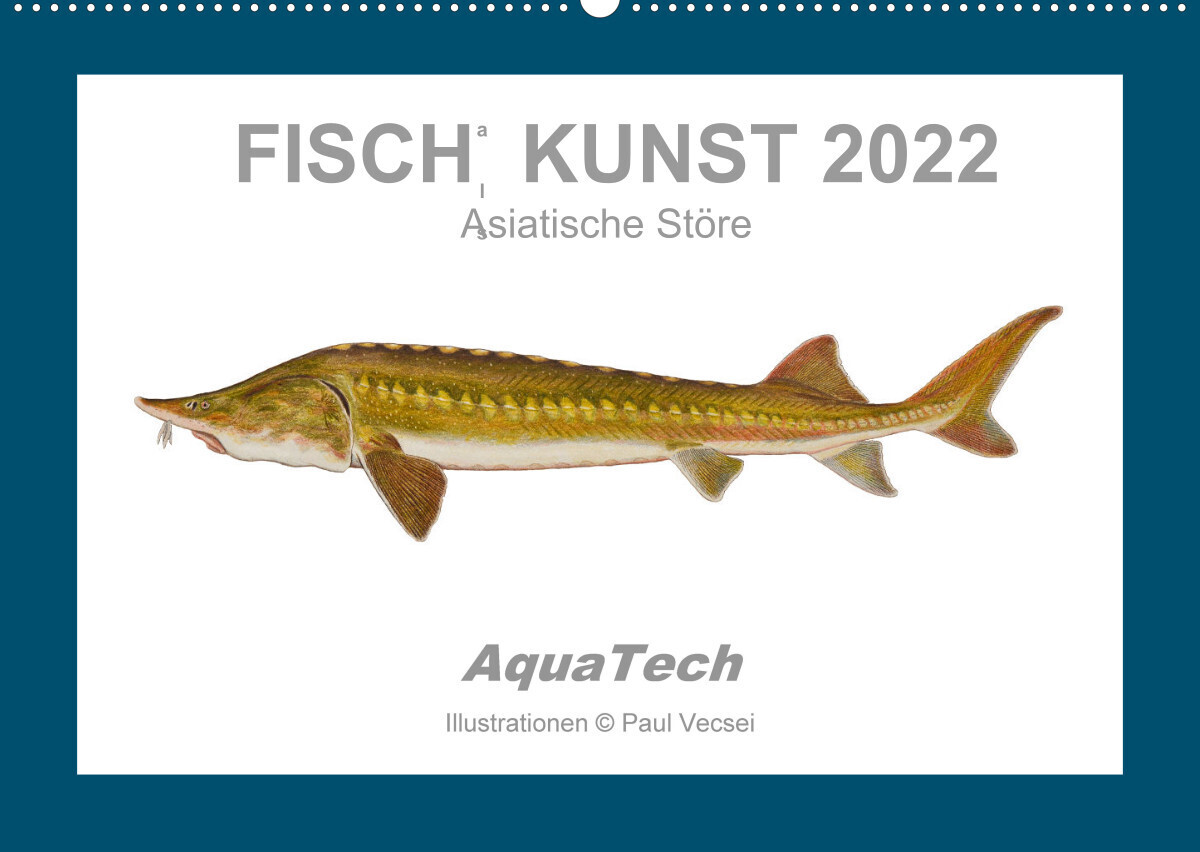 Fisch als Kunst 2022: Asiatische Störe (Wandkalender 2022 DIN A2 quer)