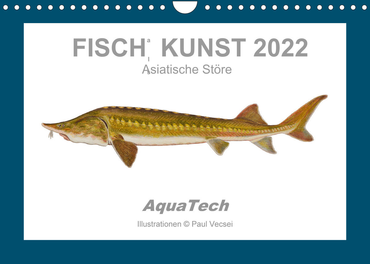 Fisch als Kunst 2022: Asiatische Störe (Wandkalender 2022 DIN A4 quer)