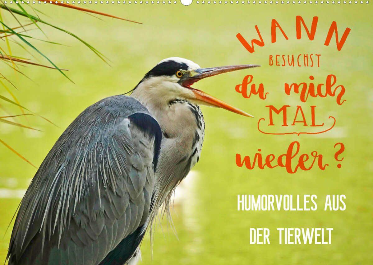 Humorvolles aus der Tierwelt (Wandkalender 2022 DIN A2 quer)