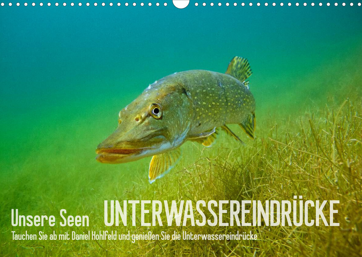 Unsere Seen (Wandkalender 2022 DIN A3 quer)