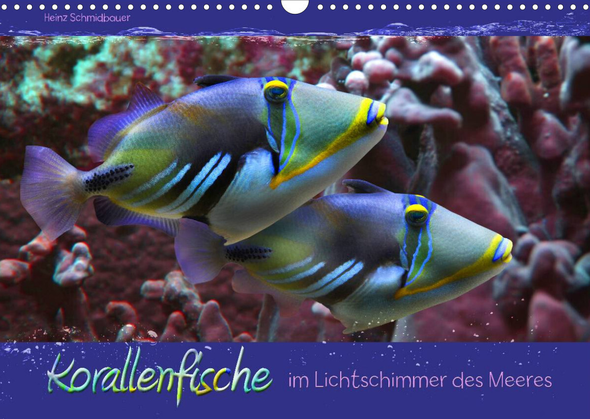 Korallenfische im Lichtschimmer des Meeres (Wandkalender 2022 DIN A3 quer)