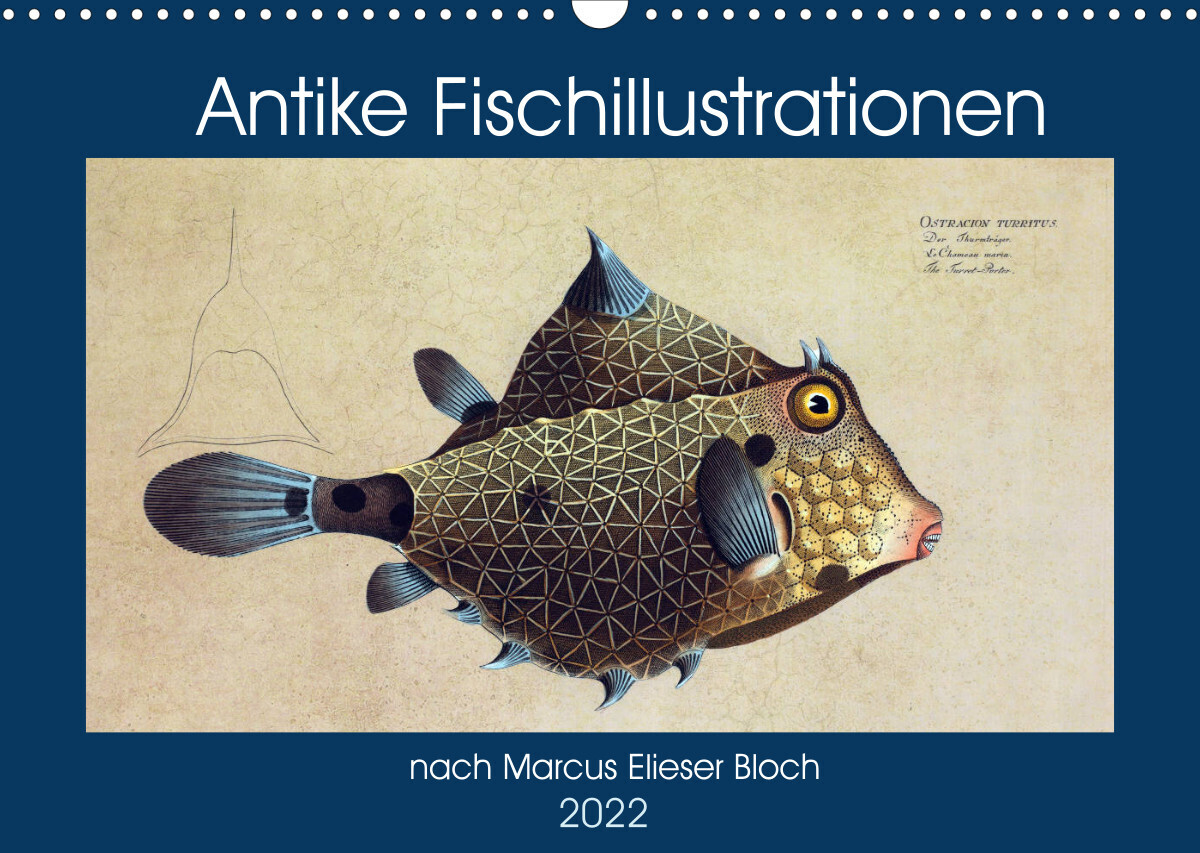 Antike Fischillustrationen nach Marcus Elieser Bloch (Wandkalender 2022 DIN A3 quer)