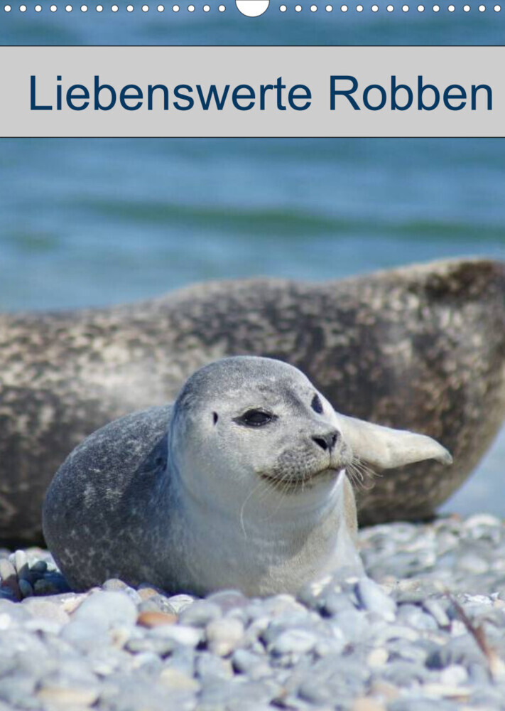 Liebenswerte Robben (Wandkalender 2022 DIN A3 hoch)
