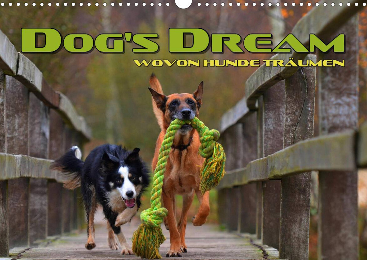 DOG'S DREAM - wovon Hunde träumen (Wandkalender 2022 DIN A3 quer)