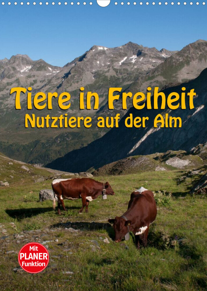 Tiere in Freiheit - Nutztiere auf der Alm (Wandkalender 2022 DIN A3 hoch)