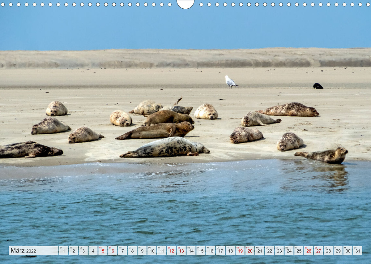 BORKUM-LIEBE (Wandkalender 2022 DIN A3 quer)