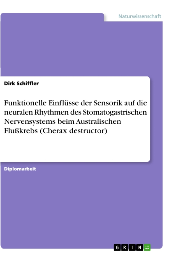Funktionelle Einflüsse der Sensorik auf die neuralen Rhythmen des Stomatogastrischen Nervensystems beim Australischen Flußkrebs (Cherax destructor)