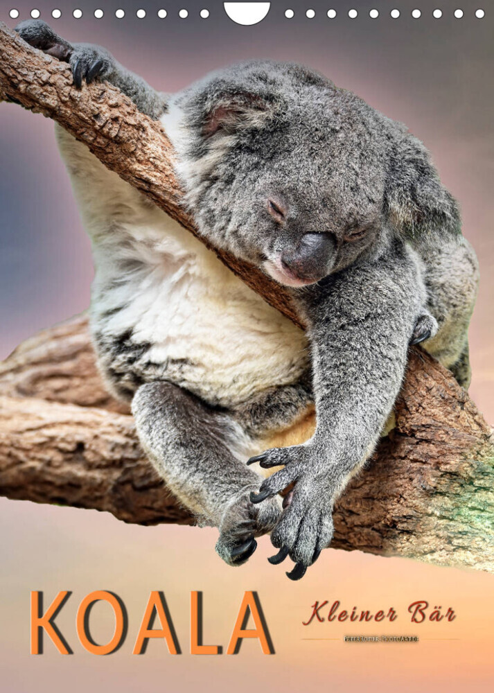 Koala, kleiner Bär (Wandkalender 2022 DIN A4 hoch)