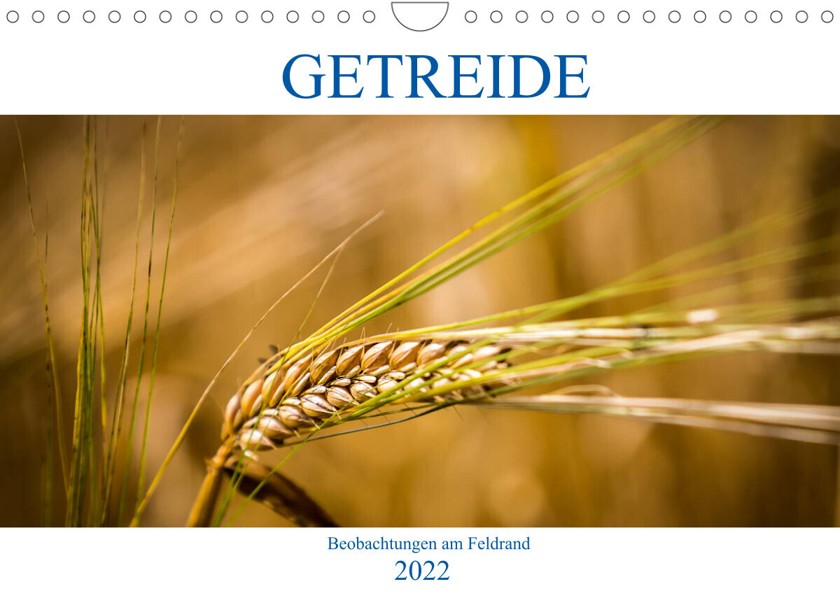 Getreide - Beobachtungen am Feldrand (Wandkalender 2022 DIN A4 quer)